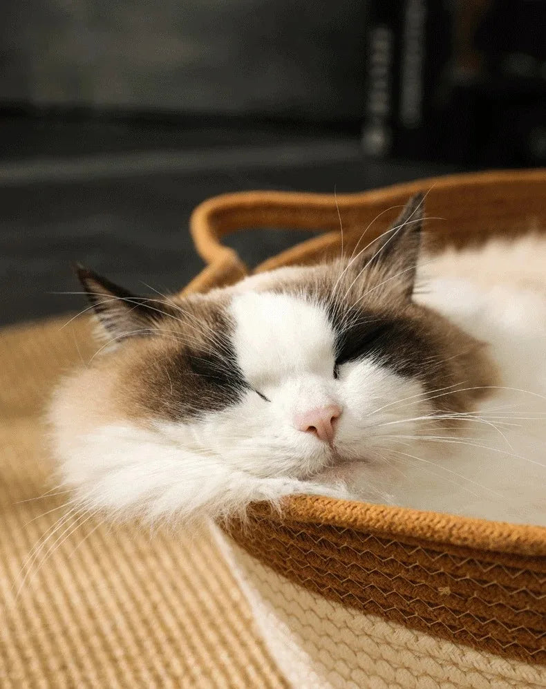 Proteja seus móveis com estilo usando o ArranhaDream! Esta cama arranhador oferece conforto e diversão para seu gato, mantendo suas garras longe do seu sofá. Garanta tranquilidade e móveis intactos! 😺
