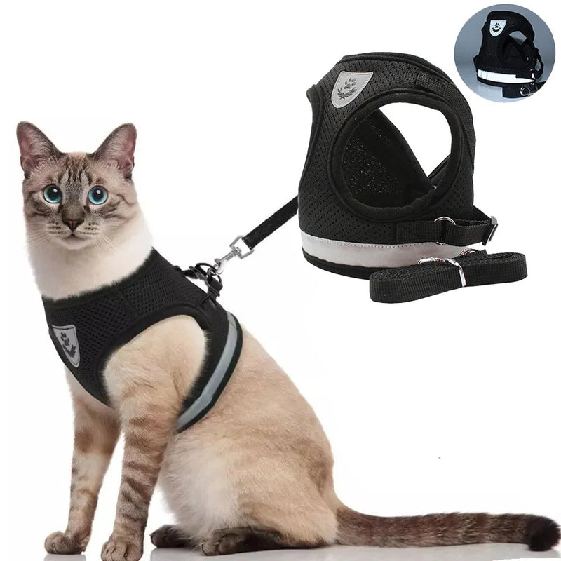 Peitoral e Guia Colete - Passeios com Segurança e Diversão 🐶😺