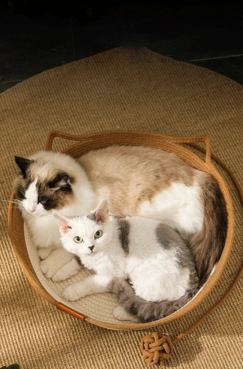 Proteja seus móveis com estilo usando o ArranhaDream! Esta cama arranhador oferece conforto e diversão para seu gato, mantendo suas garras longe do seu sofá. Garanta tranquilidade e móveis intactos! 😺