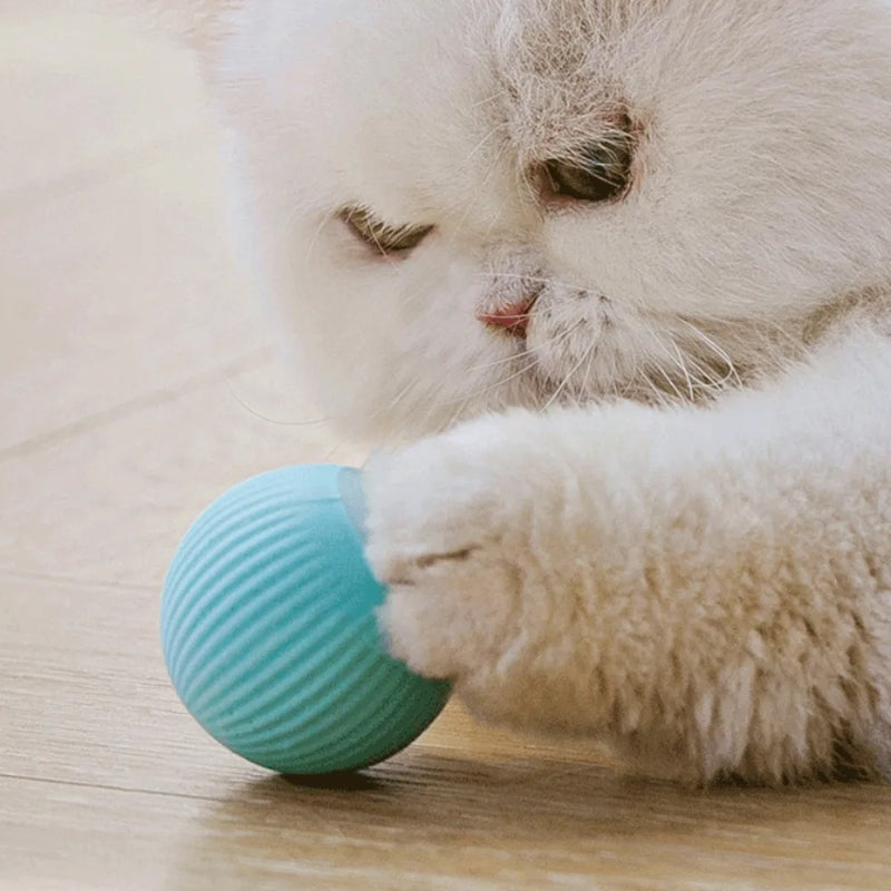 Bola Interativa Inteligente – Diversão Garantida para Seu Pet