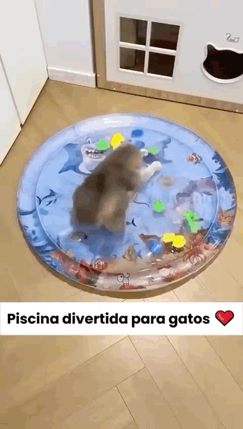 Tapete de Água Interativo - Diversão Garantida para seu Pet! 🐶😺