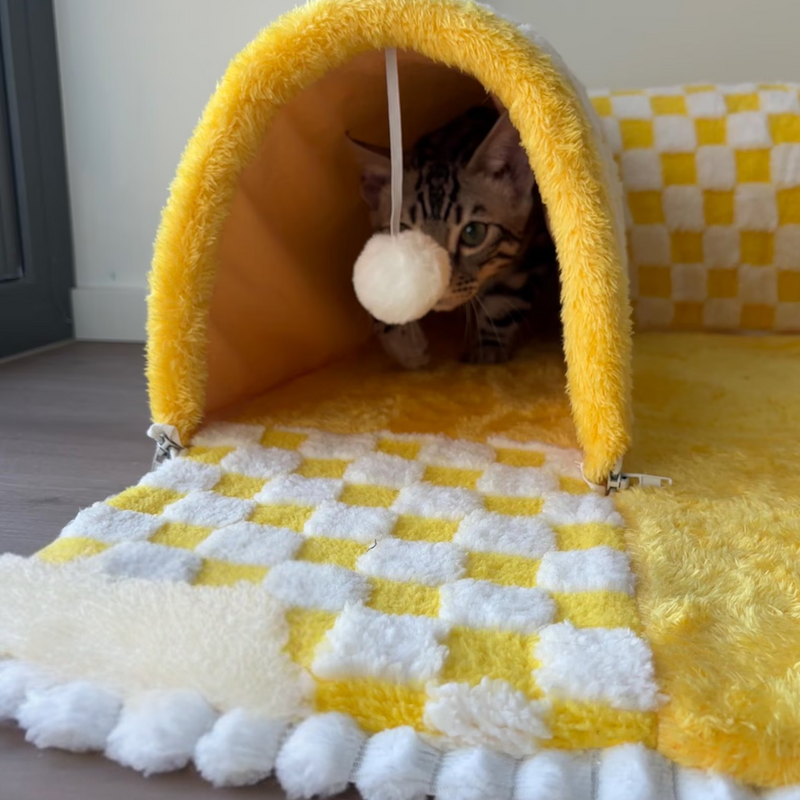 Túnel Felino Aventura - Estimule a curiosidade e o instinto natural do seu gato 😺