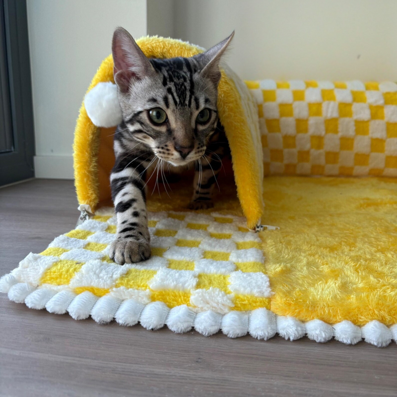 Túnel Felino Aventura - Estimule a curiosidade e o instinto natural do seu gato 😺